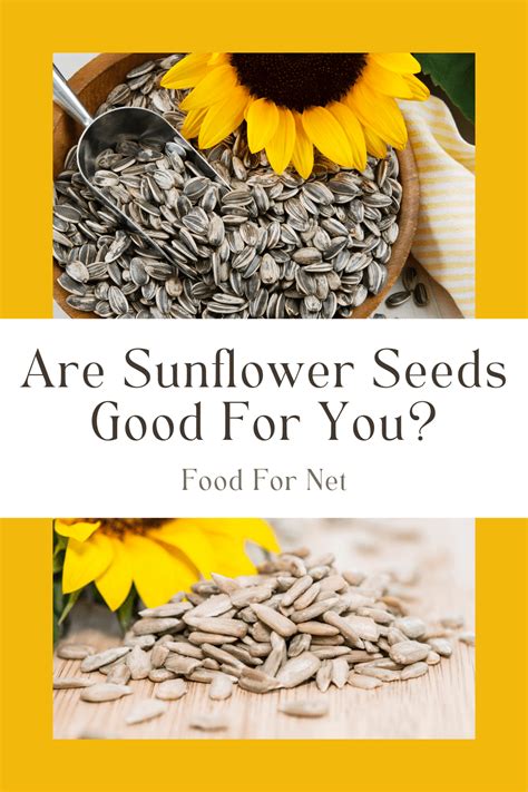 Why are sunflower seeds good for you but sunflower oil is not?