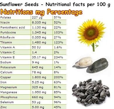 Why are sunflower seeds so high calorie?