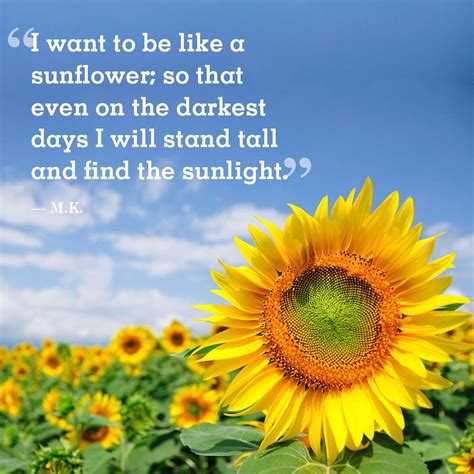 Why are sunflowers inspirational?