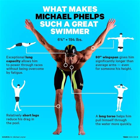 Why are swimmers arms so long?