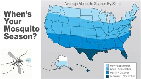 Why are there no mosquitoes in USA?