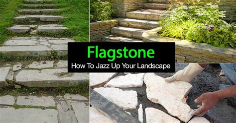 Why are they called flagstones?