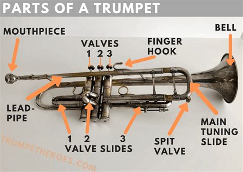 Why are trumpets in BB and not C?