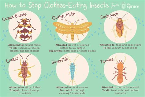 Why are wasps attracted to my clothes?