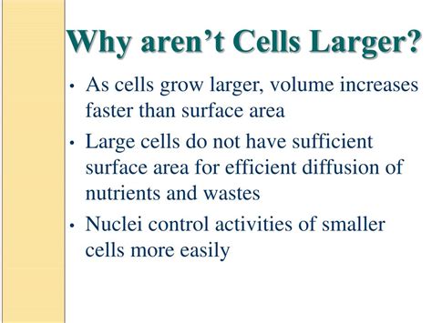 Why aren t cells big?