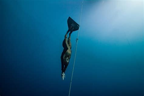 Why aren t freedivers crushed?