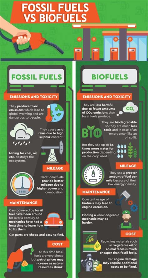 Why biofuels are not sustainable?