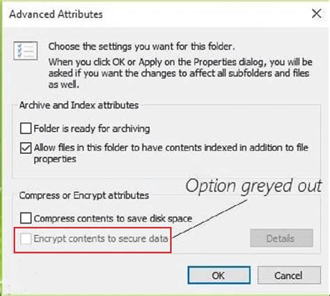 Why can't I Encrypt a folder in Windows 11?