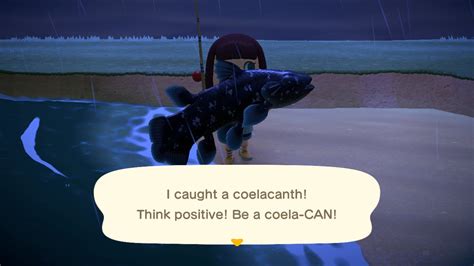 Why can't I catch a coelacanth?
