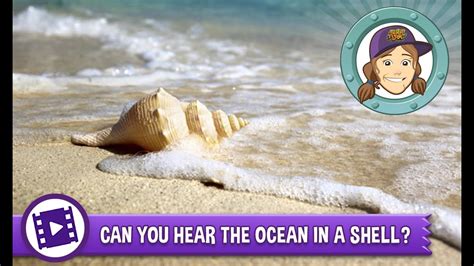 Why can't I hear the ocean in a shell?