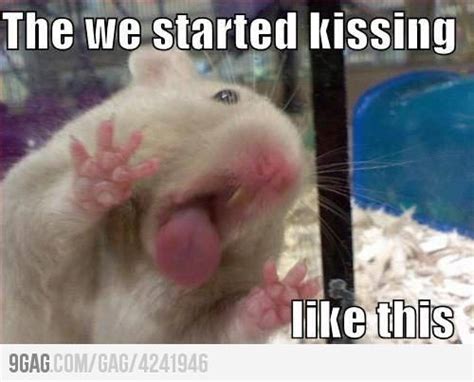 Why can't I kiss my hamster?