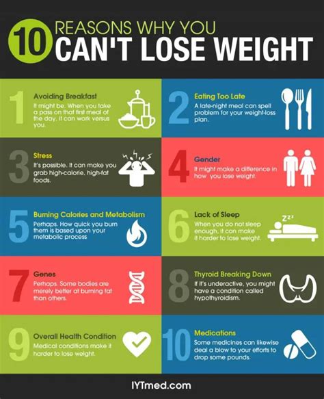 Why can't I lose weight on Weight Watchers?