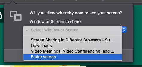 Why can't I screen share my browser?