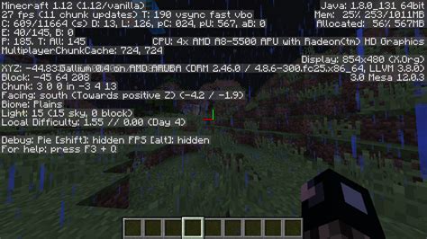 Why can't I see my coordinates in Minecraft when I press F3?