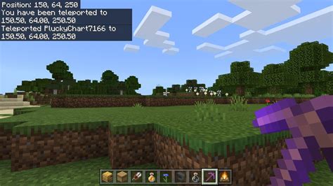 Why can't I use TP in Minecraft?