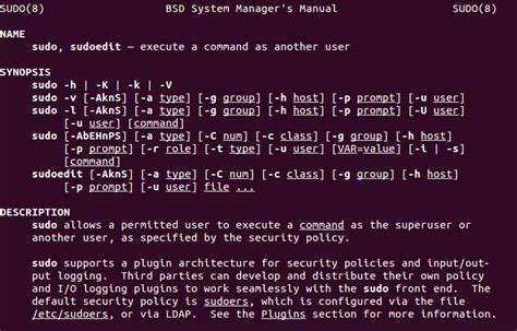 Why can't I use sudo command?