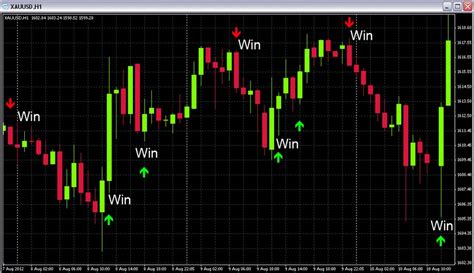 Why can't I win in forex?