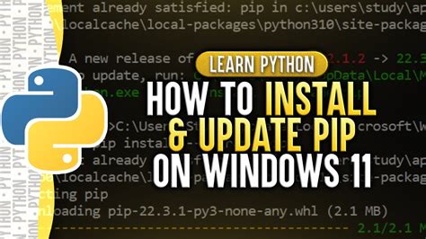 Why can't Windows Python find pip?