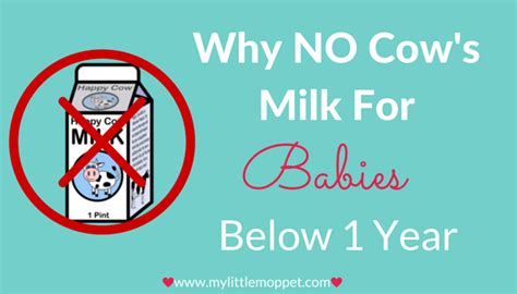 Why can't babies have cow's milk?