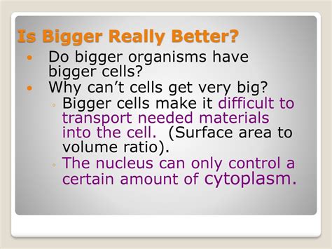 Why can't cells get very big?