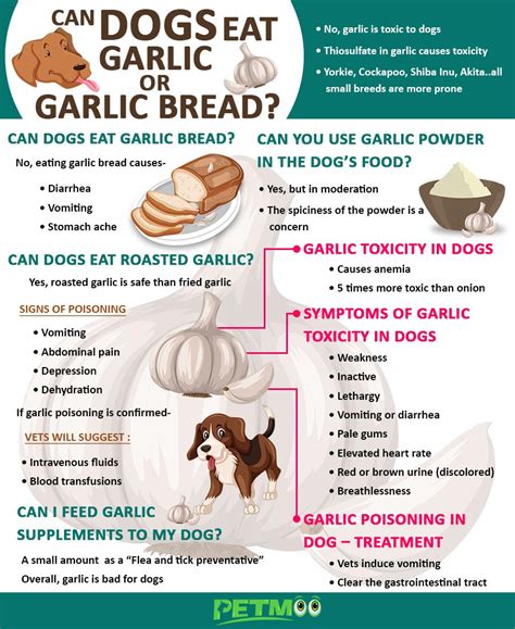 Why can't dogs eat garlic?