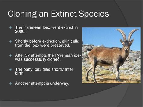 Why can't extinct animals be cloned?