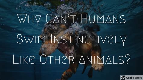 Why can't humans swim naturally?