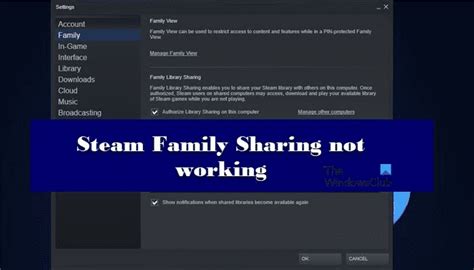 Why can't i see my Steam library on family?