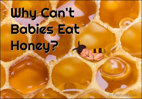 Why can't kids have honey?