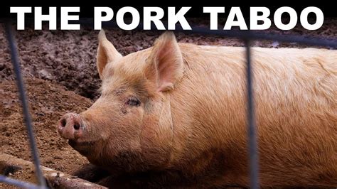 Why can't pork be eaten?