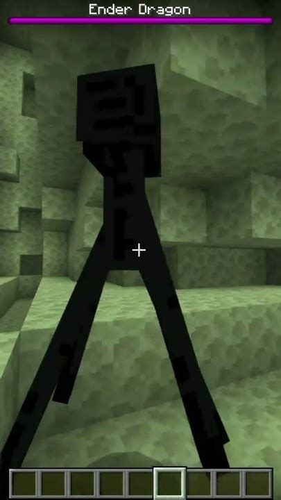 Why can't the Ender Dragon teleport?