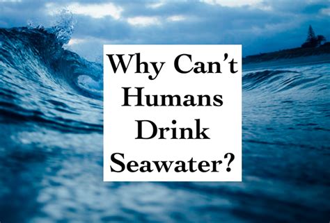 Why can't you drink water with seafood?