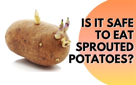 Why can't you eat potato sprouts?