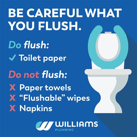 Why can't you flush the toilet on a train at a station?