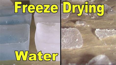 Why can't you freeze dry ice?
