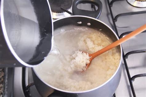 Why can't you leave rice out overnight?