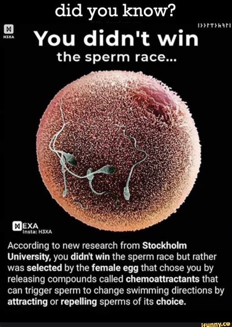 Why can't you mix sperm?