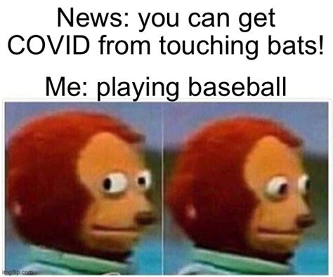 Why can't you touch bats?