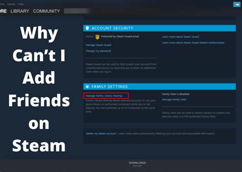 Why can I not friend on Steam?
