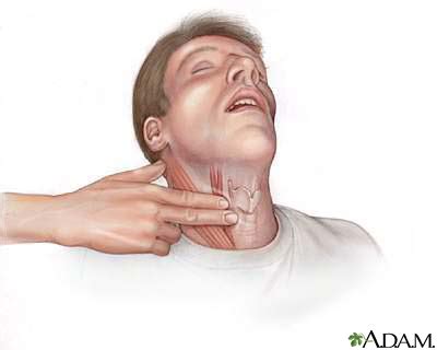 Why can I see my pulse in my neck?