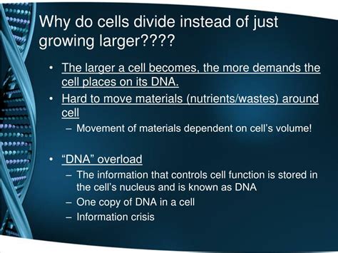 Why can cells not grow to unlimited size?