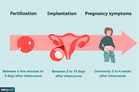 Why can it take a year to get pregnant?