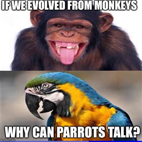 Why can parrots talk but not monkeys?