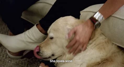 Why did Jessica from Love Is Blind give her dog wine?