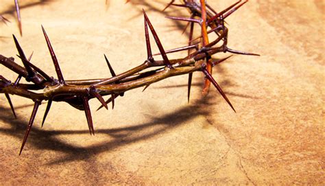 Why did Jesus have thorns?