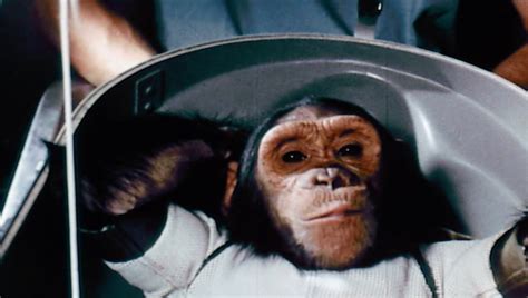 Why did NASA send monkeys to space?