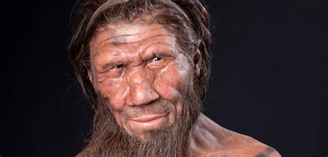 Why did Neanderthals look weird?