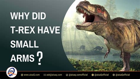 Why did T rex have small arms?