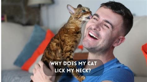 Why did he lick my neck?