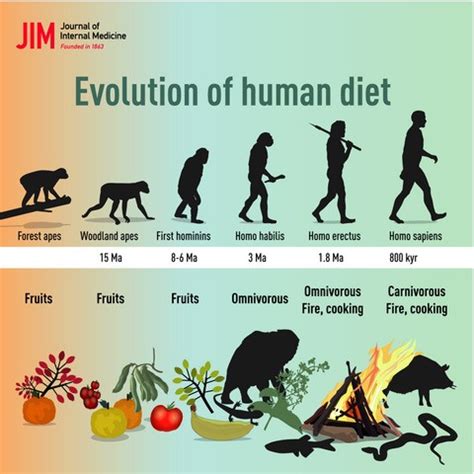Why did humans evolve to only eat cooked meat?